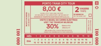 adult ticket for 2 trips